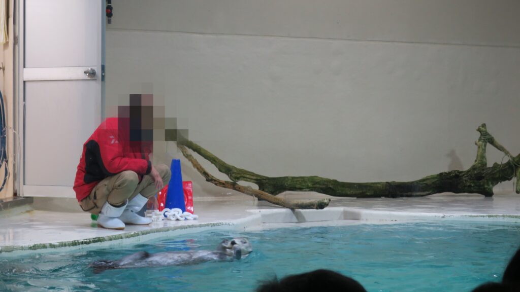 鳥羽水族館のラッコ