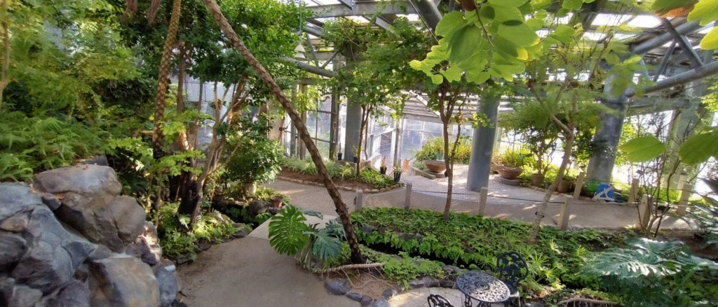 ふれあいの里の緑化植物園