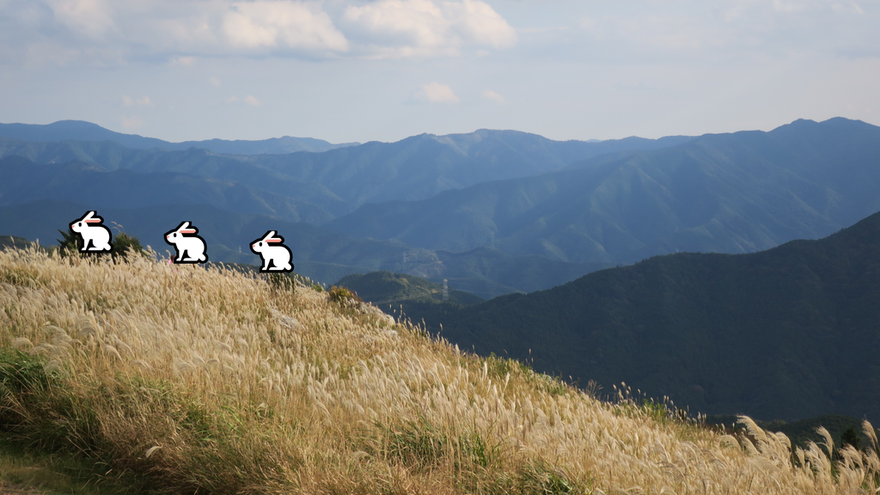 生石高原
ススキ