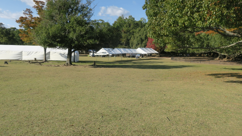 春日大社に向かう途中にある広場