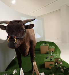 但馬牛博物館の牛の展示