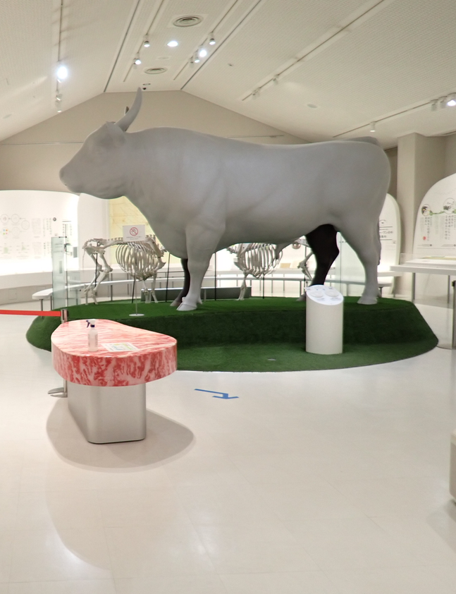 但馬牛博物館の展示