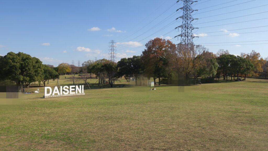 大仙公園の芝生