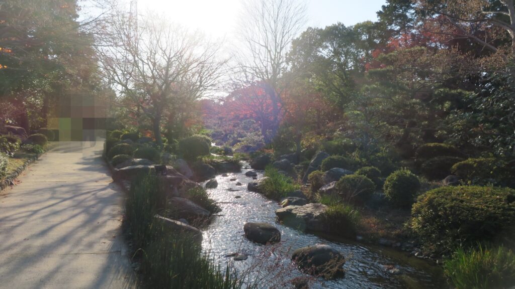 大仙公園日本庭園の道