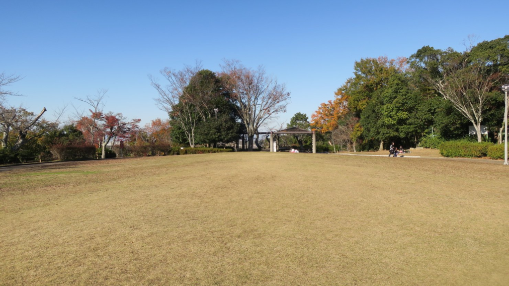 水間公園の芝生広場