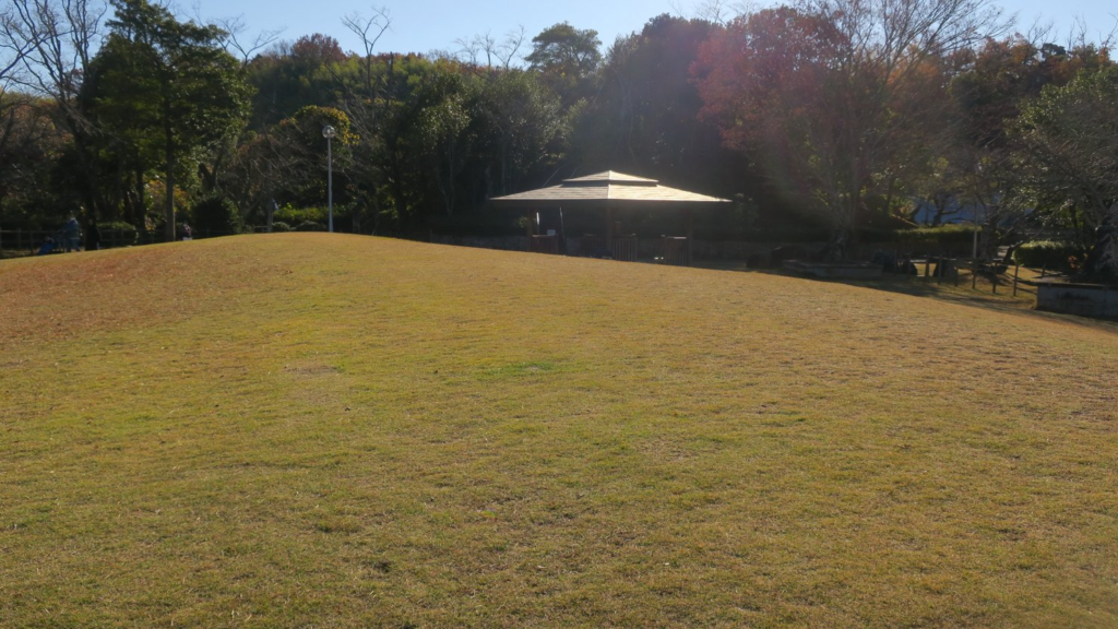 水間公園の芝生広場