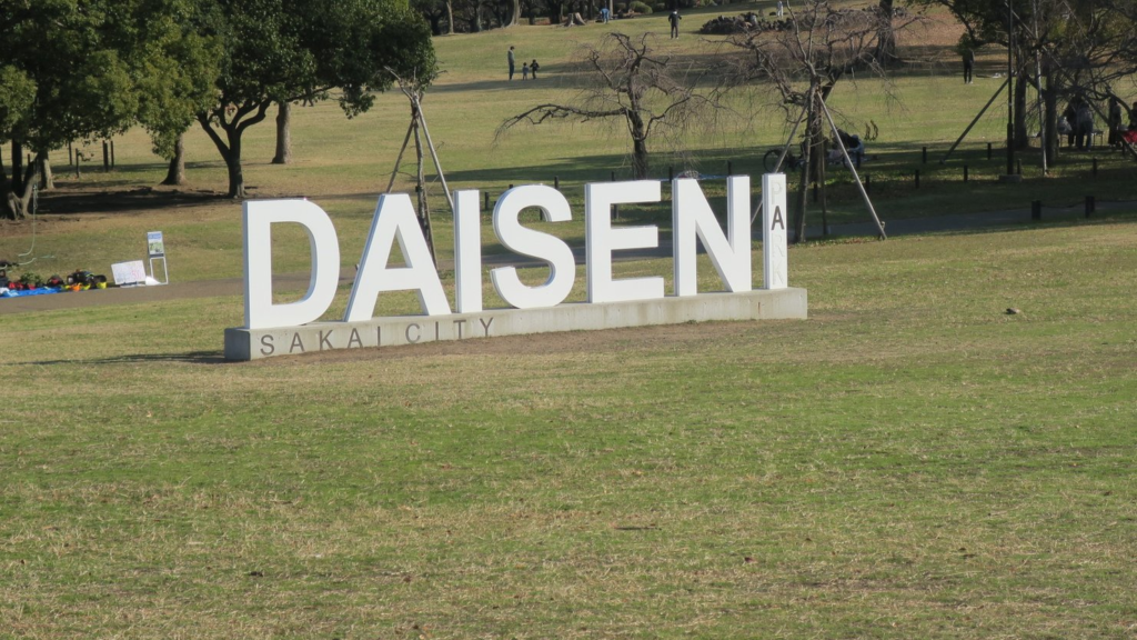 大仙公園の芝生