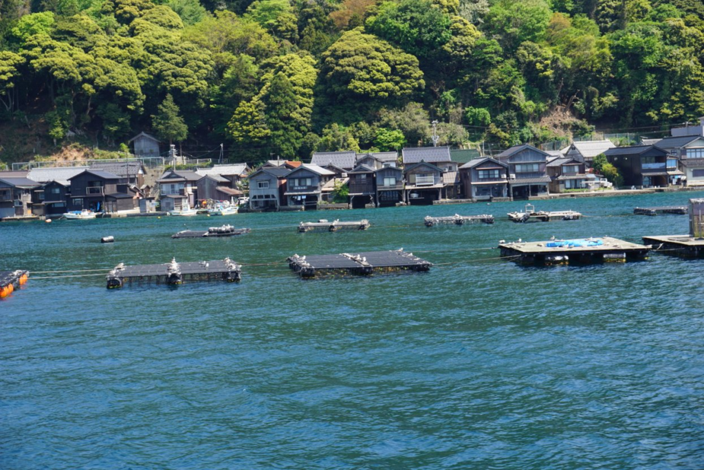 伊根湾めぐり遊覧船から見る伊根の舟屋の景色