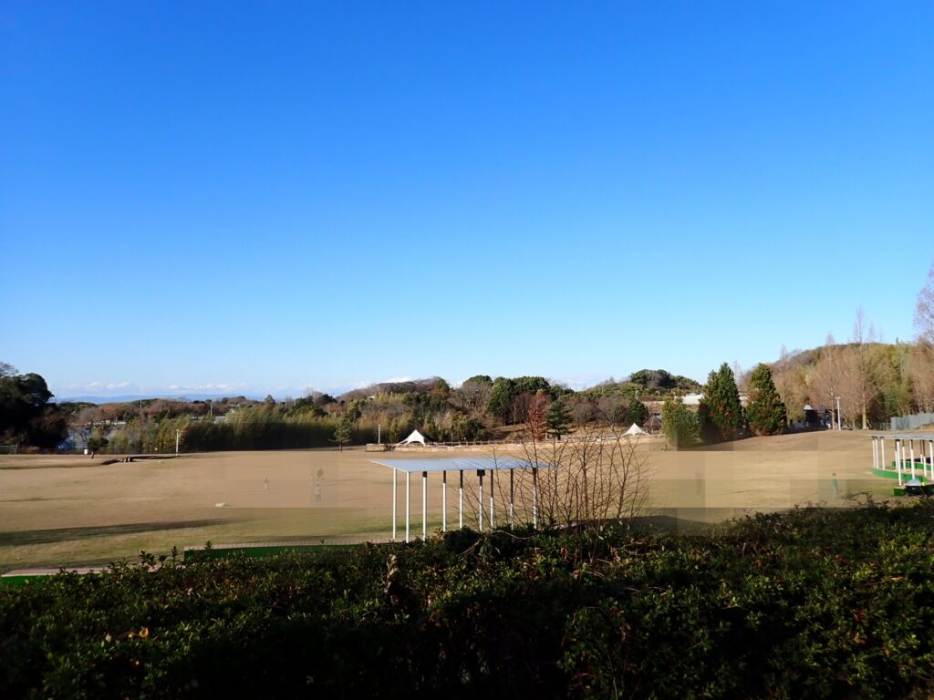 蜻蛉池公園の大芝生広場
